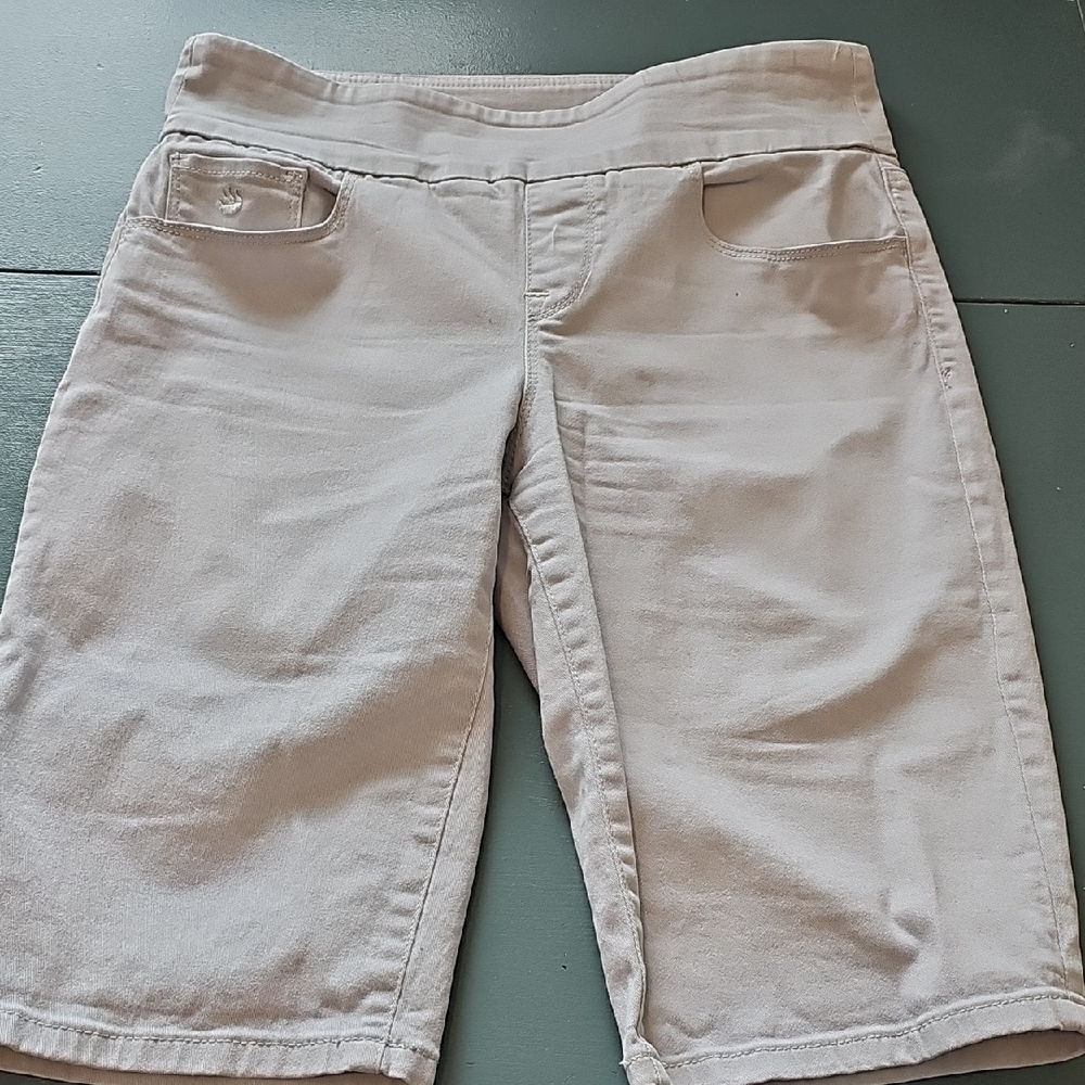 Women's Gray Brrmuda Shorts. By Gloria Vanderbelt. Size 4P Amanda